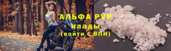 МДПВ Новозыбков