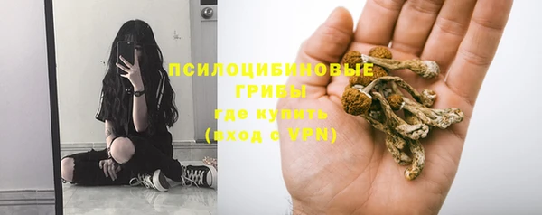 героин Няндома