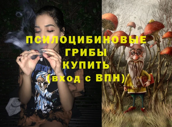 МДПВ Новозыбков