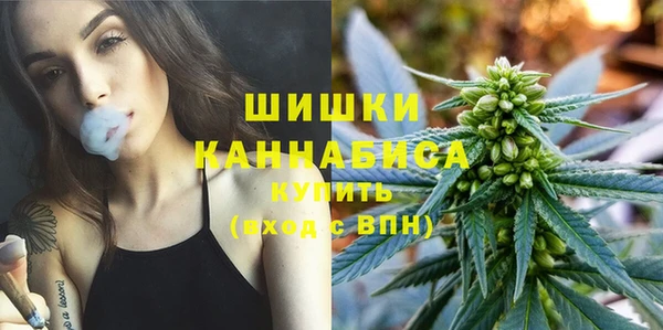МДПВ Новозыбков