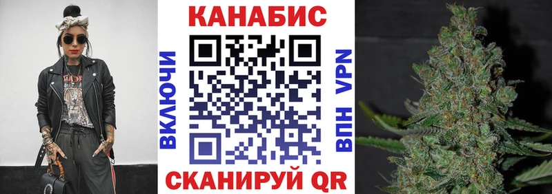 даркнет телеграм  Ковылкино  Марихуана сатива 